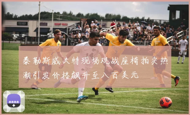 泰勒斯威夫特现场观战座椅拍卖热潮引发价格飙升至八百美元