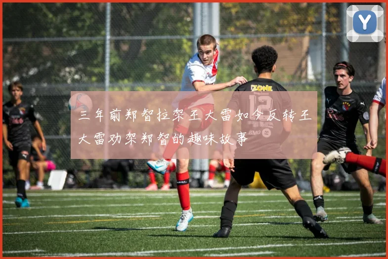 三年前郑智拉架王大雷如今反转王大雷劝架郑智的趣味故事